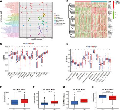 Establishment of a Necroptosis-Related Prognostic Signature to Reveal Immune Infiltration and Predict Drug Sensitivity in Hepatocellular Carcinoma